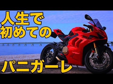 【納車】パニガーレV4S 人間が初めて【PANIGALE】￼に乗るとどうなるのか？【SSに戻ってきました】