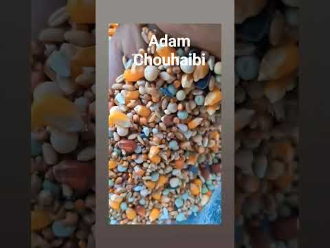 شوفو معيا الاخوان هاد الميلونج ديال سبور تبارك الله ونقا #interiordesign #اكسبلور #التغطيه #العريفي