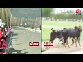 Black And White: कैसे बदल गया Kashmir Srinagar में Formula 4 Car Racing | PM Modi | Sudhir Chaudhary  - 01:31 min - News - Video