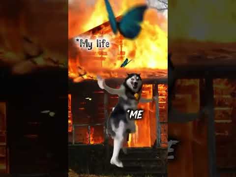 DON'T WORRY IT'S JUST A LIFE 🙂#fypシ゚viral #fypシ゚viral #memesdaily