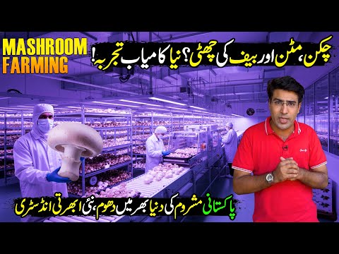 Artificial Meat in Pakistan | Mushroom Technology | Billion Dollars Industry | Made In Pakistan