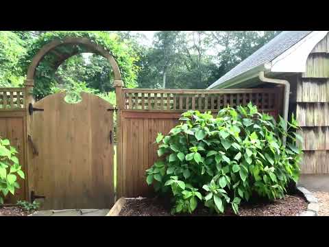 Property video