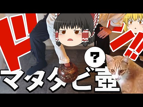 【人類の夢】手を1週間マタタビに漬けて作ったマタタビ毒手は猫からモテモテになるのか【ゆっくり実況】