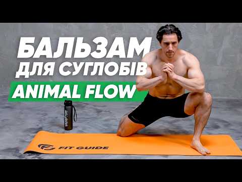 Animal Flow для мобільності. Тренування для рухливості суглобів та хребта заради свободи руху