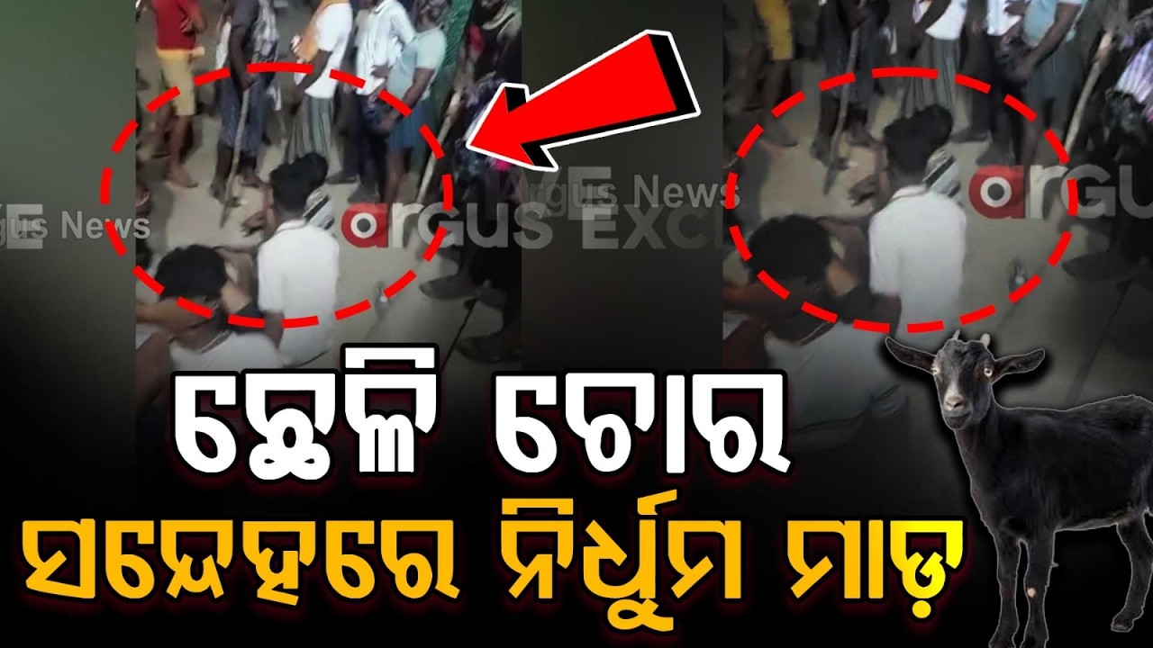 Mob Violence in Ganjam: 4 Youths Thrashed Over Goat Theft Suspicions in Hinjili | Argus News