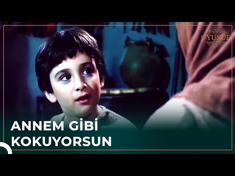 Faika Hala Hz. Yusuf'un Sevgisini Kazandı | Hz. Yusuf