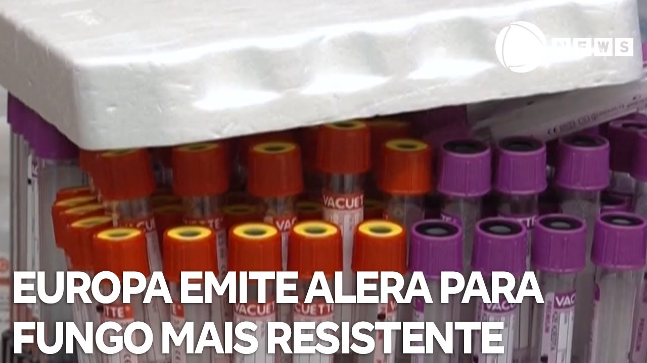 Europa emite alerta para fungo resistente a medicamentos