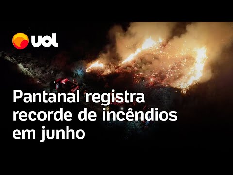 Pantanal registra recorde de incêndios em junho, antes da estação seca