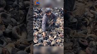 Buffalos Horns Transforming to Beer Mugs #shorts #beermugs #buffalo #animals #asmr