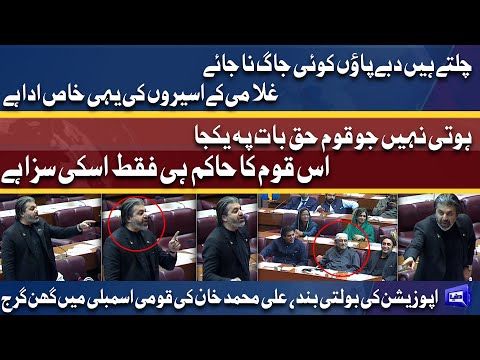 Mera leader Imran Khan phir aye ga | Ali Muhammad Khan ki qaumi assembly mein ghan garj | Dunya News