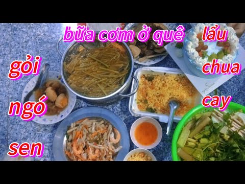 🌺Gỏi ngó sen, vịt luộc, lẩu chua cay, bữa cơm ở quê em xin mời 🌺