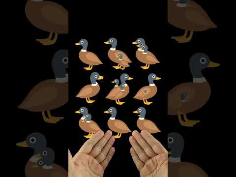 Solo 2 personas lo logran