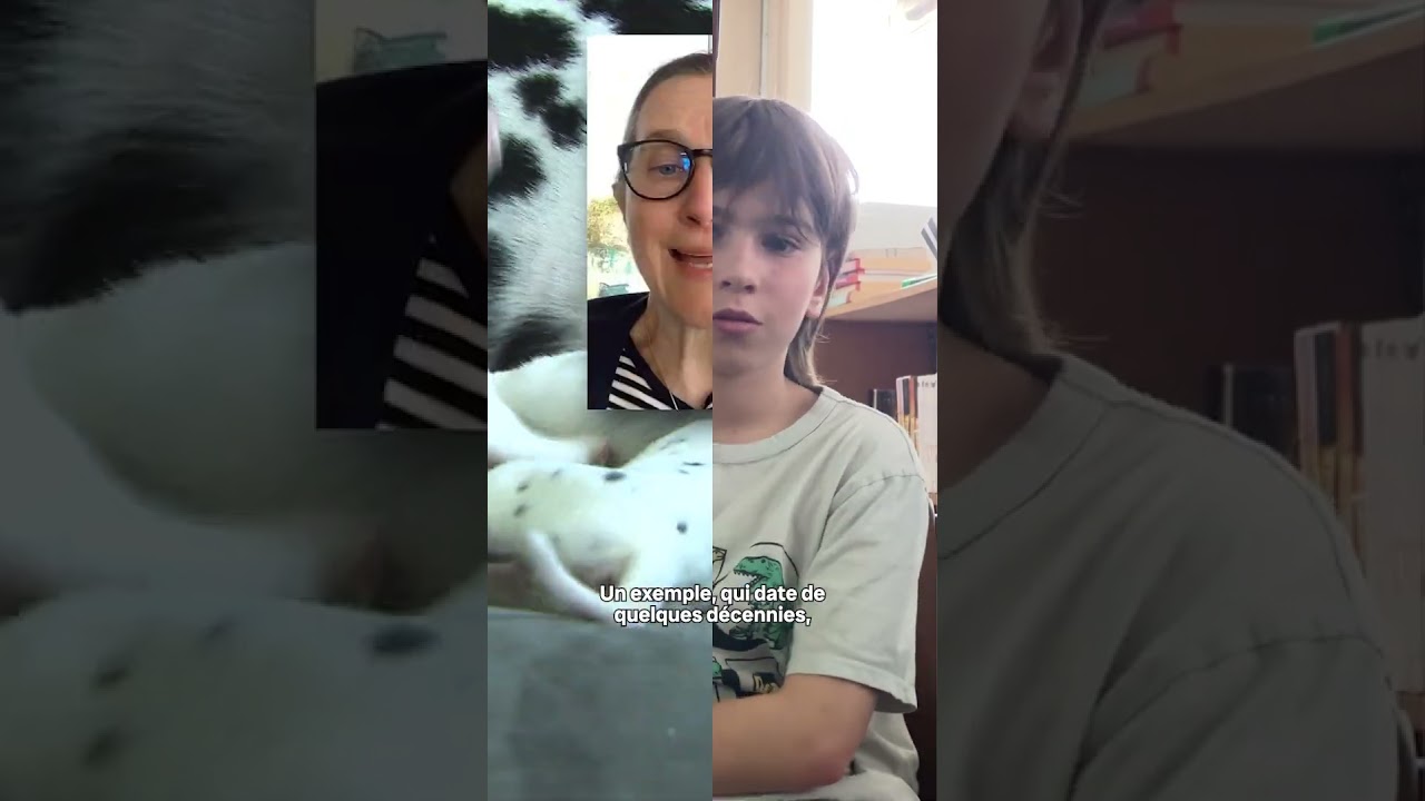 L’info à flo(t)s - Pourquoi certains chiens se vendent plus cher ?