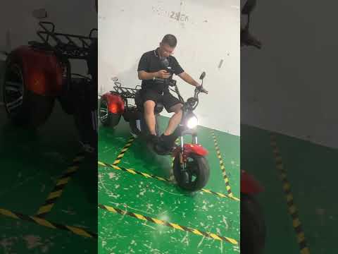 Mangosteen scooter