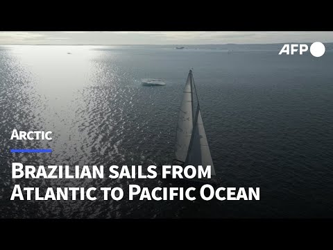 'Less and less sea ice': Brazil woman sails solo through Arctic | AFP