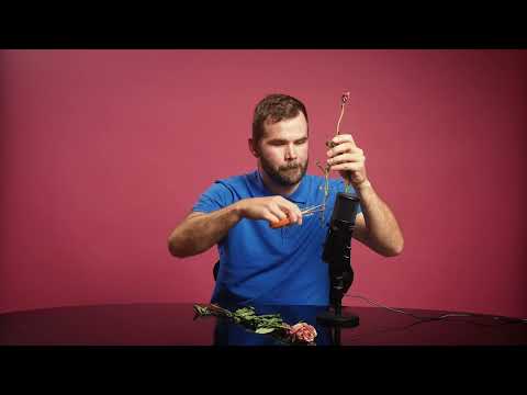 Icke-matavfall som ASMR
