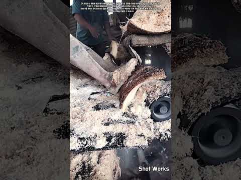 원목을 순식간에 가루로 만드는 분쇄기 작동 원리와 현지 가공법 #worker #process #shredding #fiber #machine