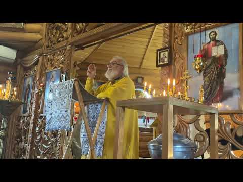 Різдво св. Предтечі і Хрестителя Господнього Іоанна. Проповідь архимандрита Василія (Садварій)