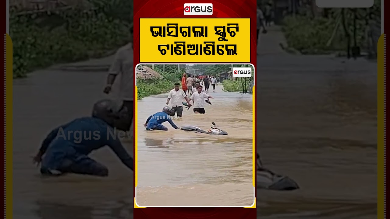 ଭସିଗଲା ସ୍କୁଟି ଟାଣିଆଣିଲେ | Balasore News | Odisha Flood | ODRAF Rescue | Flood Update | Argus News