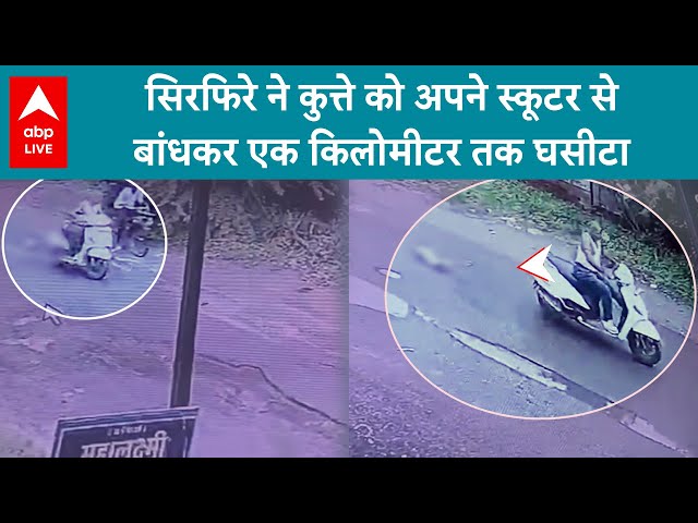 UP News: सिरफिरे ने कुत्ते को अपने स्कूटर से बांधकर एक किलोमीटर तक घसीटा | ABP LIVE