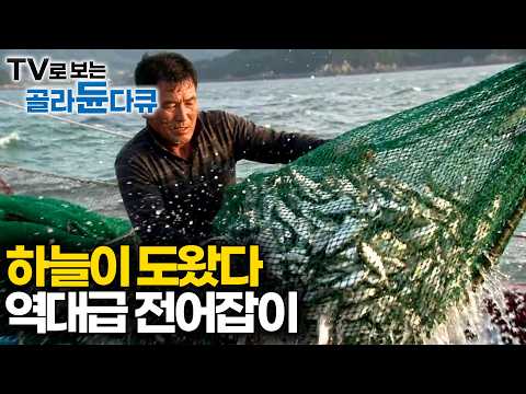 타이밍만 잘 맞추면 던질 때마다 수천만 원 번다. 살 제대로 오른 가을 전어잡이 현장 가봤더니｜극한직업｜#골라듄다큐