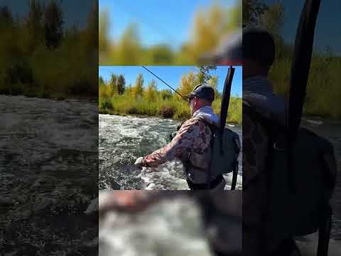 Not the biggest catch, but still a blast on the line 🎣