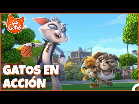 La Gran Aventura Deportiva 🏃‍➡️🏊🚴🤸🏇 | 44 Gatos