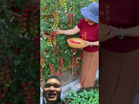 Căn Nhà Nhỏ Bên Khu Vườn To #gardening