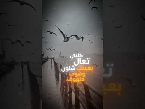 مصطفى الربيعي اتشابه وياك تعال بعينك وشوف كلبي شلون ملهوف#لايك_اشتراك