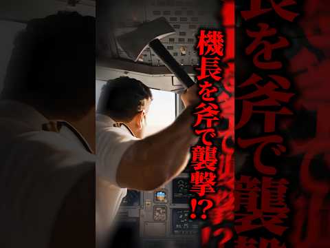 【実話】副操縦士が機長を斧で襲撃→30秒足らずで4km以上急降下!約180人が乗る旅客機を立て直した、操縦とは無縁の人物とは!? #shorts