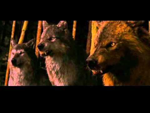 pelea entre lobos y cullen