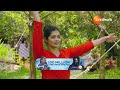 Aarogyame Mahayogam | Ep - 1210 | Webisode | May, 28 2024 | Manthena Satyanarayana Raju | Zee Telugu  - 08:40 min - News - Video