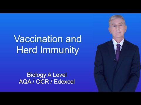 A Level Biology Revision “Vaccination and Herd Immunity”