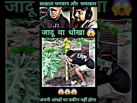 ज़मीन में पौधा लगाते ही पेड़ कैसे उगाया? 🤯 #shorts