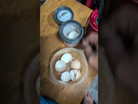 卵の殻で石粉を作る！釣り餌イソメゴカイの滑り止め #釣り  #fishing #アウトドア