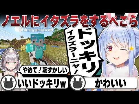 【祝200万】ノエルに恥ずかしいイタズラを仕掛ける兎田ぺこら | Minecraft【ホロライブ/兎田ぺこら/切り抜き/白銀ノエル】 #兎田ぺこら