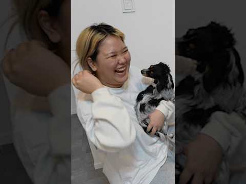 相方と愛犬、手触りだけでどっちかわかる？