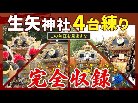 【生矢神社 2025】播州姫路の秋祭り 4台練り 完全収録！熱狂のクライマックス