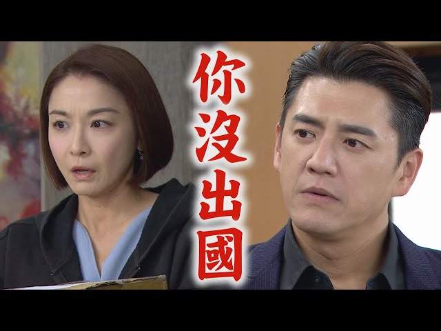 【願望】EP260 詩涵幫顧成報仇!兇手們全被抓走 廷偉也被帶走調查...廷恩驚覺哥也跟案件有關｜完全娛樂