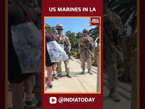 US Marines Stop Civilian on LA Bridge Amid Protest Tensions | US News