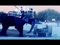 Angry Elephant attacks at Tractor engine, plays like a toy