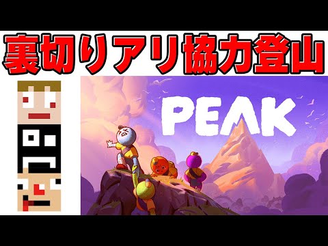 【新エリア追加とのこと】仲間をぶっ飛ばせちゃう？！話題の協力登山げーをやってみるｗ【PEAK】