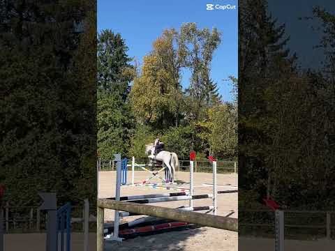 Petit ralenti #horse #horsetraining