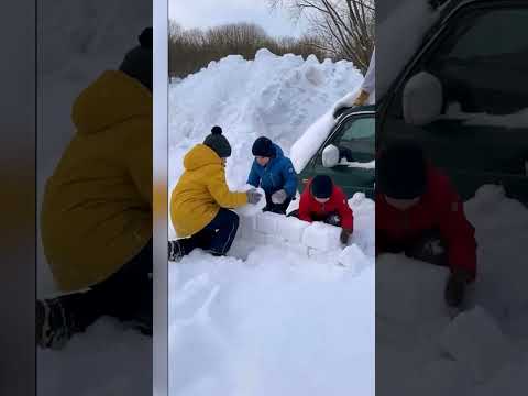 ❄️ Dos Reinos Helados ❄️