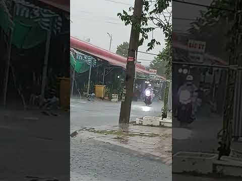 mưa ngày mưa đêm