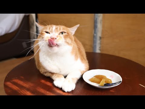 しろうりの煮付けレシピ｜簡単・美味しい作り方 サムネイル