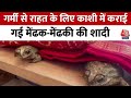 Varanasi: गर्मी से निजात के लिए Kashi में मेंढक-मेंढकी की कराई गई शादी, वीडियो देखिए | Viral Video