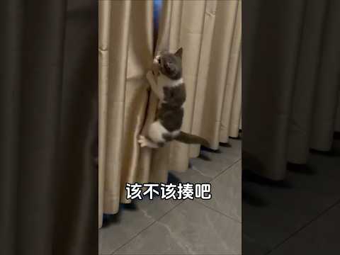 Performance 💞💞 #shorts #shortsfeed #trendingshorts #performance