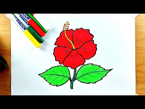 Hibiscus flower Drawing and Coloring || Hibiscus Drawing 🌺 ♥️ 😍 