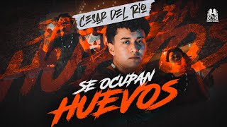 Cesar Del Rio - Se Ocupan Huevos